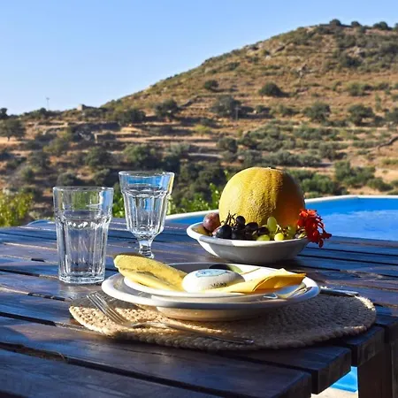 Family House With A Swimming Pool 5 Minutes From Ioulida